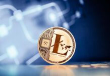 LTC volume tăng 50% khi cá heo và cá mập tăng tích lũy – Dự báo giá LTC trước thềm halving 31/07/2023 13:00