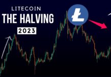 Triển vọng giá Litecoin (LTC) trước Halving
