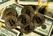 Tin vắn Crypto 23/09: Bitcoin có khả năng bật tăng mạnh mẽ vào đầu năm 2024 cùng tin tức Ripple, DMarket, Coinshares, Coinbase, QCAD, Shiba Inu