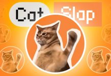 Biến 160 USD thành 6,1 triệu USD chỉ trong 12 ngày nhờ meme coin hệ Solana