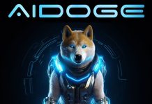 AIDOGE Coin là gì và ưu điểm trong hệ sinh thái tiền điện tử