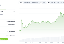 Pi Network Chính Thức Ra Mắt Mainnet – Cơ Hội Lớn Hay Tranh Cãi Chưa Hồi Kết?
