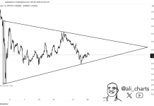 Giao dịch lớn từ cá voi Dogecoin gây chú ý trên thị trường