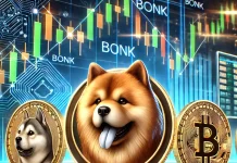 Thị trường Meme Coin: Bonk và Dogwifhat phục hồi mạnh mẽ, ChowWow tiềm năng tăng trưởng 100x