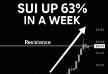 SUI (SUI): Cuộc Chiến Giữa Phe Bò và Phe Gấu Nóng Dần Sau Đà Tăng 63%