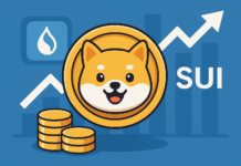 Meme Coin Trên Nền Tảng Sui: Sự Bùng Nổ Đang Cận Kề?